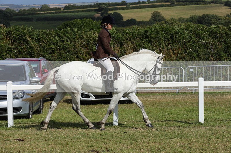 1X9A5847 - Class 41:. NPS New Forest & Connemara