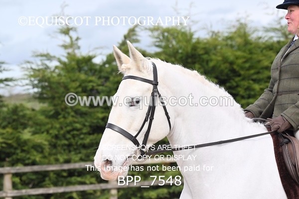 BPP_7548 - RING 1  (RIDDEN HORSES / IN HAND / VETERAN ETC)