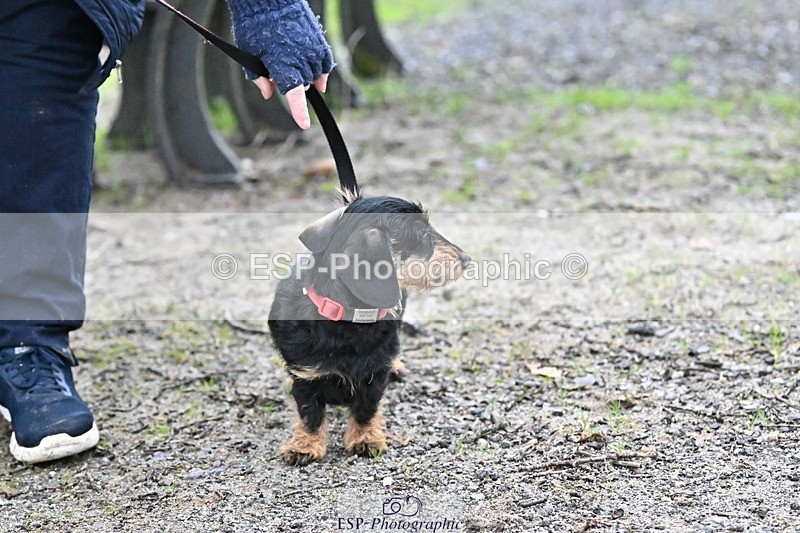 241206-144358-01145 - Naomi