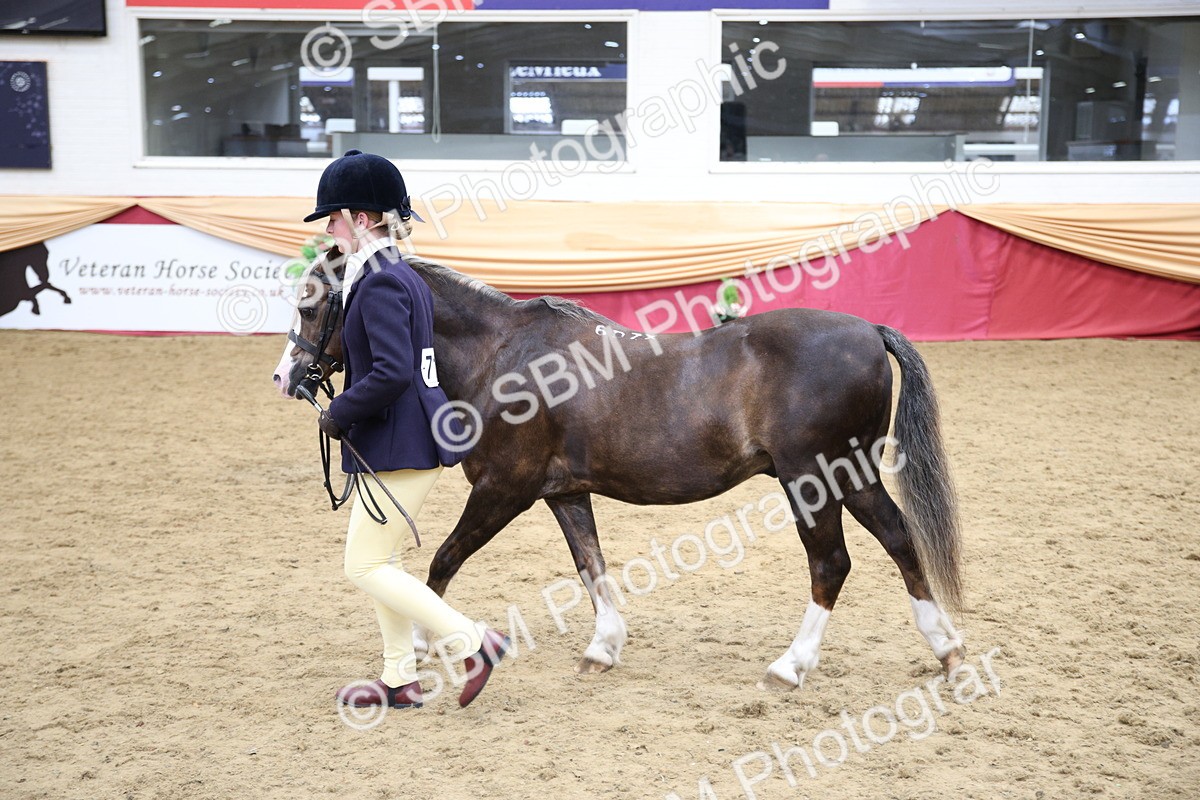 SBM_23386 - Class 904 - Supreme Final Ridden Diamond