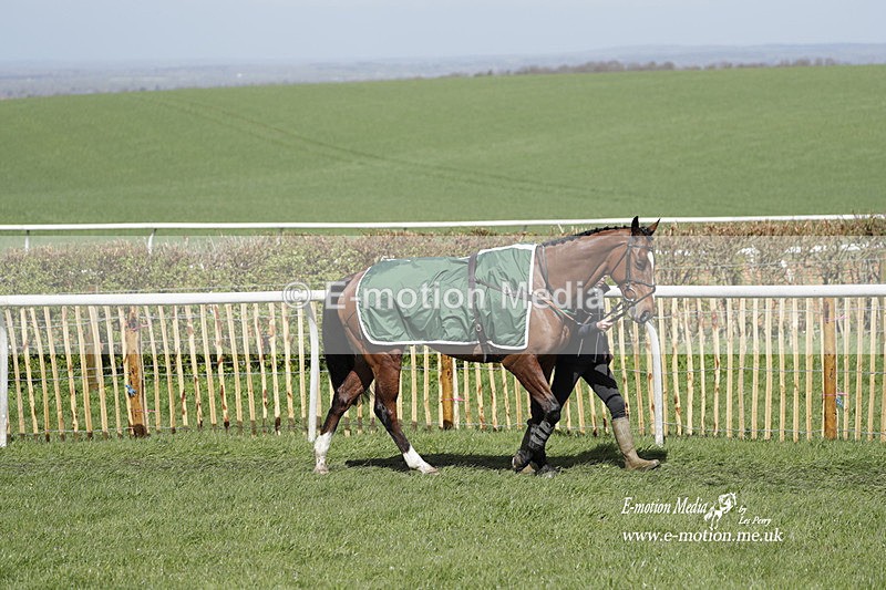 PtP 100423 459 - Old Berkshire Point-to-Point Lockinge 10/04/23