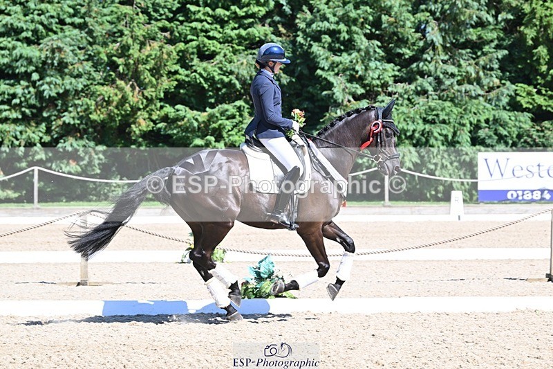 240811-153530-06690 - Adv Medium Gold