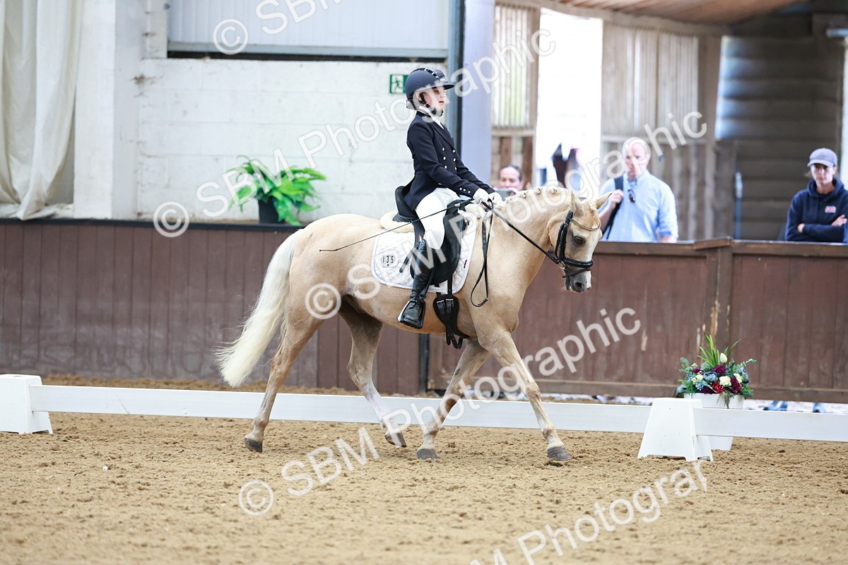 SBM_017387 - Class15 - FEI Pony