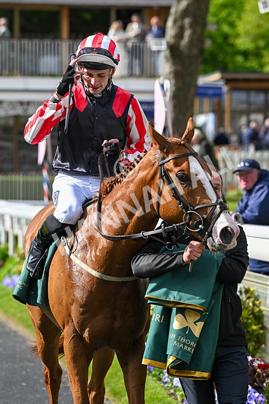150526-Race 6-Fortification-8503 - Race 6 4.40pm Irish Thoroughbred Marketing Handicap