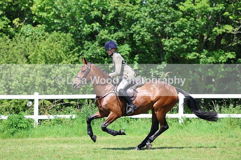 3E7A6988 - Class 30: Novice Working Hunter