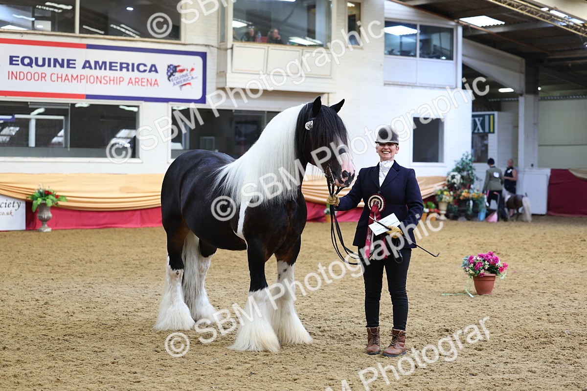 SBM_23020 - Class 903 - Supreme Final - IH Pre Vet