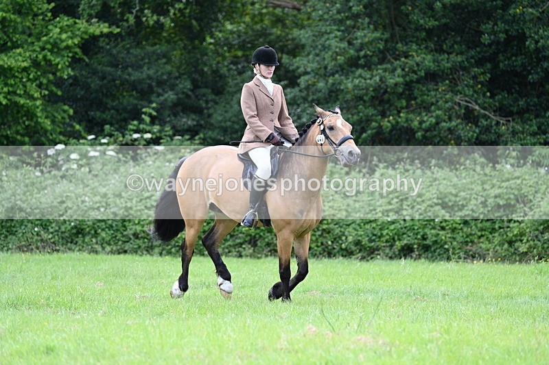 WJ7_2549 - Class 12A Coloured Class