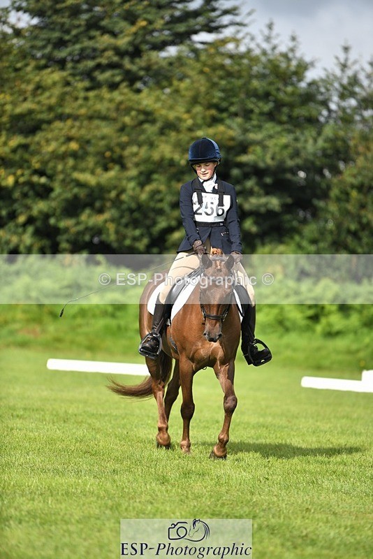 230826-094313-15205 - Sections C & D 9 to 10am