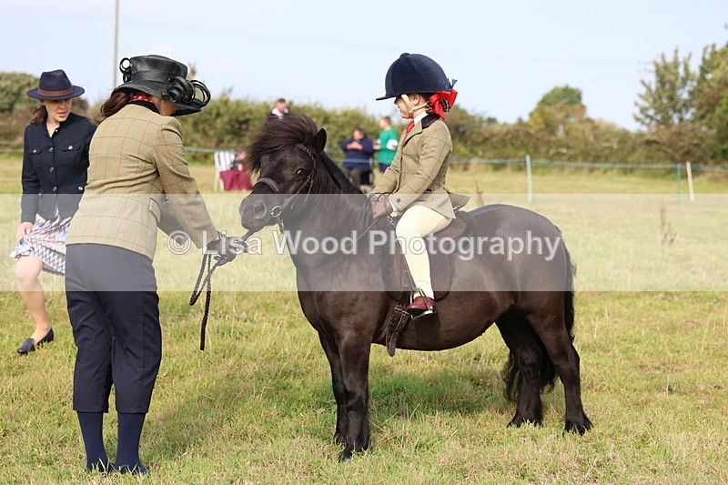 3E7A3672 - Class 2: Lead rein