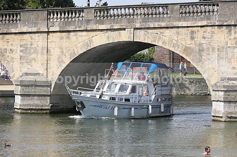 140629 WILD HOLLY PEDRO WT7A8860 - Flybridge Cruisers