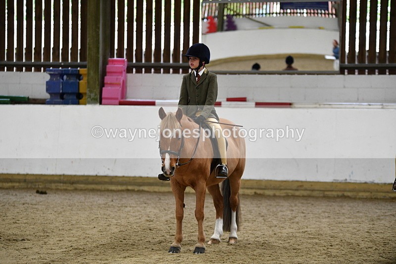 WJ5_7035 - Class 10 Childs Pony