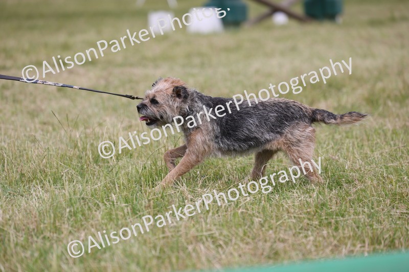20260614-4378 - Class 25 - Horse and Hound Jumping