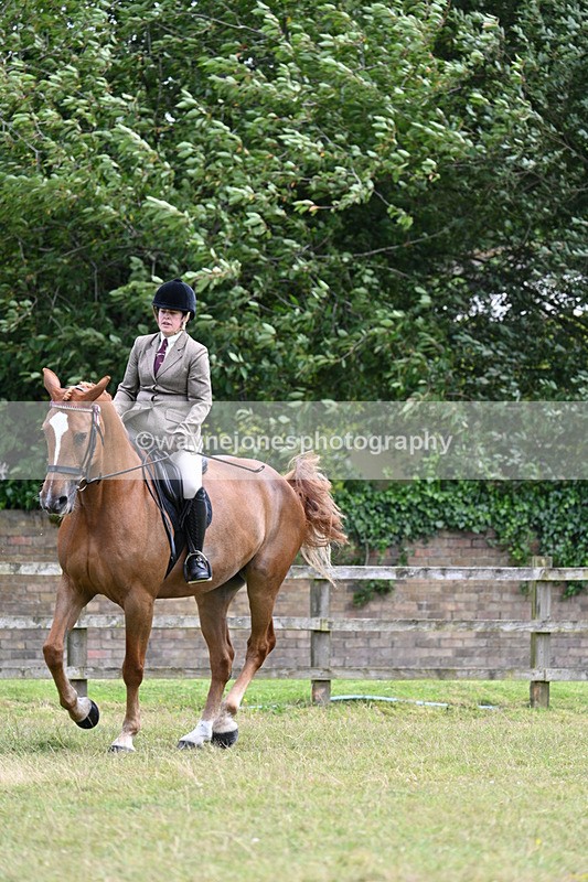 WJ7_9361 - Class 8 Ridden Veterans