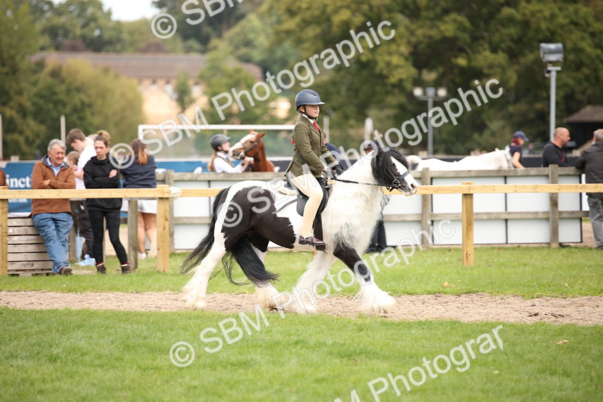SBM_42358 - S13 - Pony Club Pony