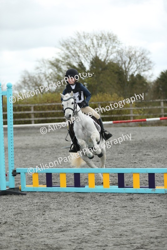 20260412-0694 - Show Jumping