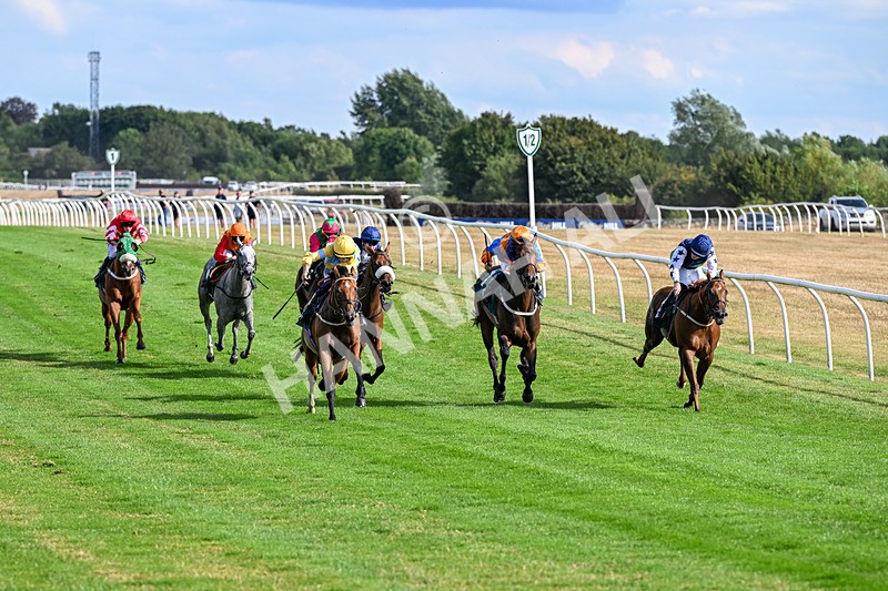 040826-Race 6-Without Flaw-5626 - Race 6 16.45pm Racing Again 17th August Handicap