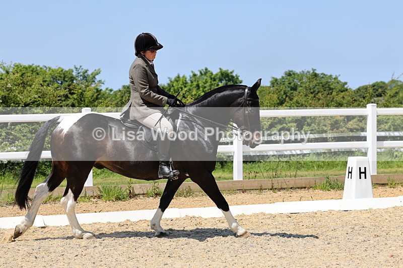 1X9A1714 - Class 11: Ridden Cob