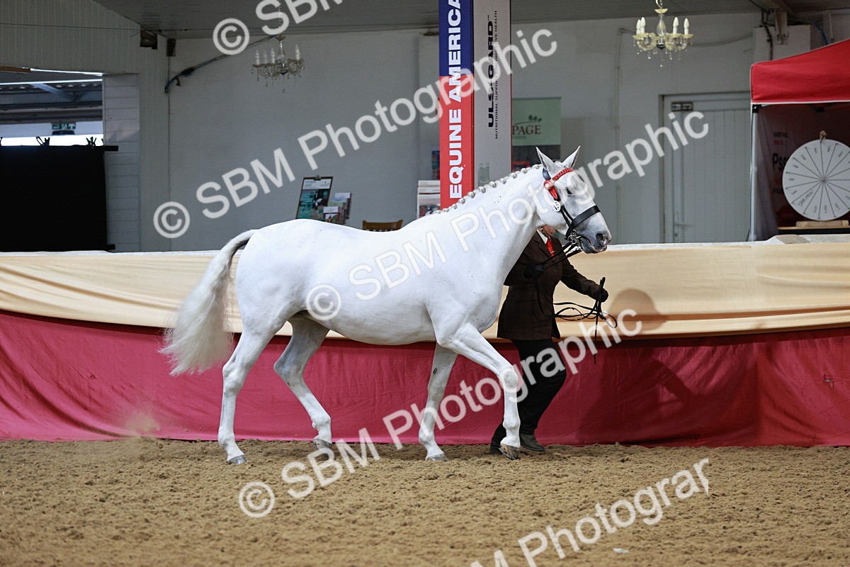 SBM_01158 - Class 3A - Area IH Pre-Vet