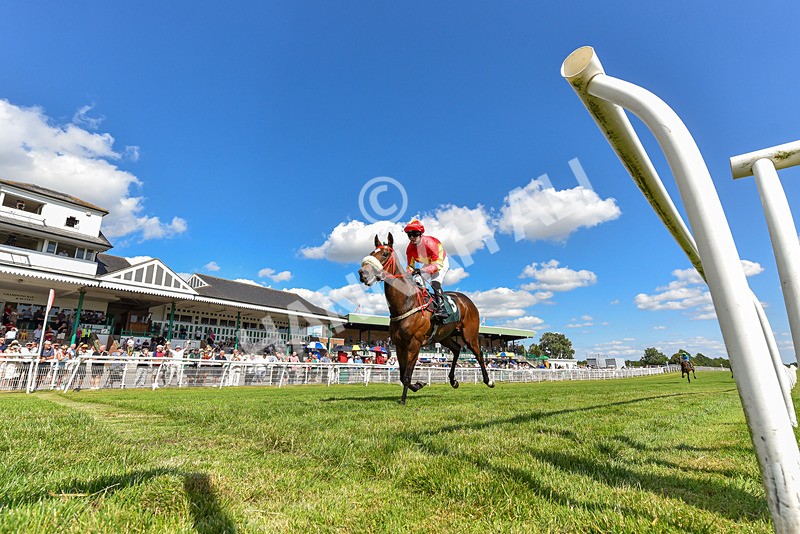 080726-Race 5-Sugarpiehoneybunch-2256 - Race 5 16.00pm Bet At racingtv.com Handicap