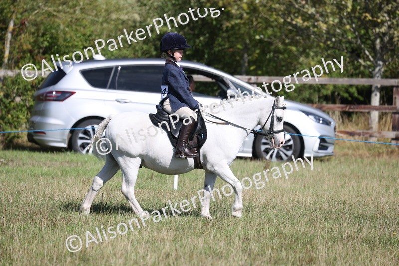 20260906-2145 - Class 16 - Family Pony
