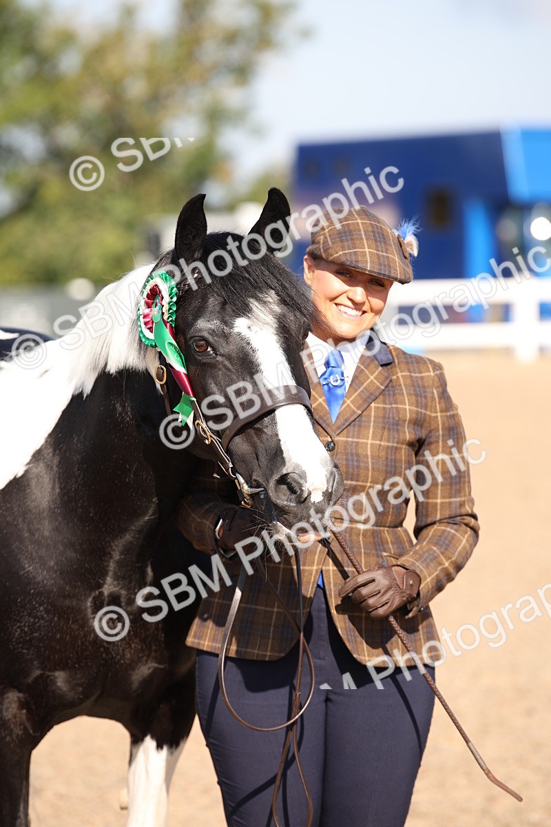 SBM_01566 - Class 15 IH Coloured