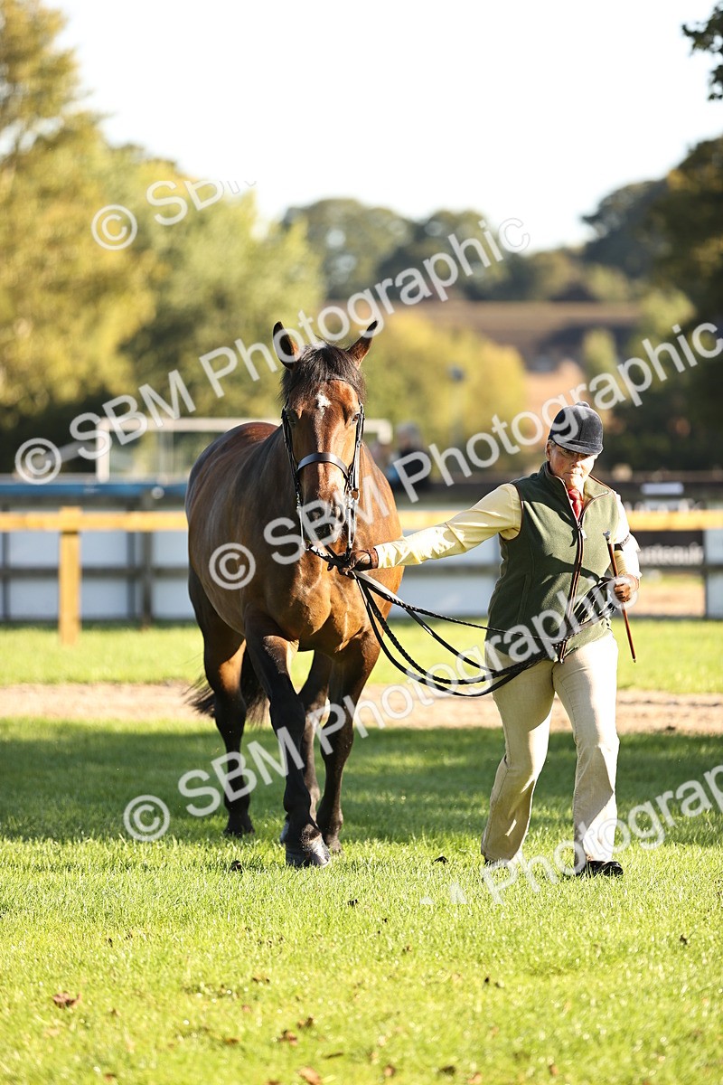 SBM_15729 - S1 - TSR in Hand Horse & Pony Showing