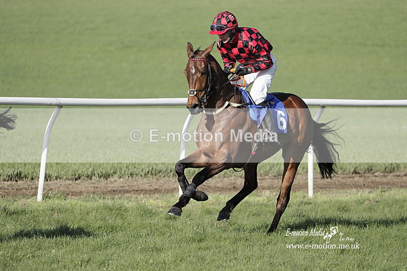 PtP 100423 1265 - Old Berkshire Point-to-Point Lockinge 10/04/23