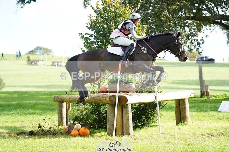 231020-115806-07007 - 057-OVERTON.TILANA'S.GOLD-Claire.Deuten-XC