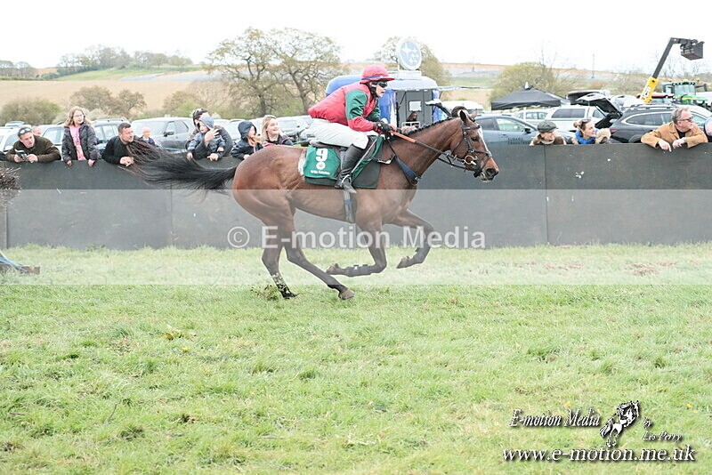 PtP 130425 293 - Edgecote Races 13/04/25