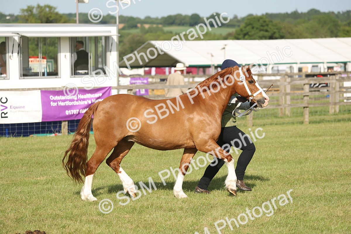 SBM_10491 - Class 33-38 - SSADL RIHS Qualifiers