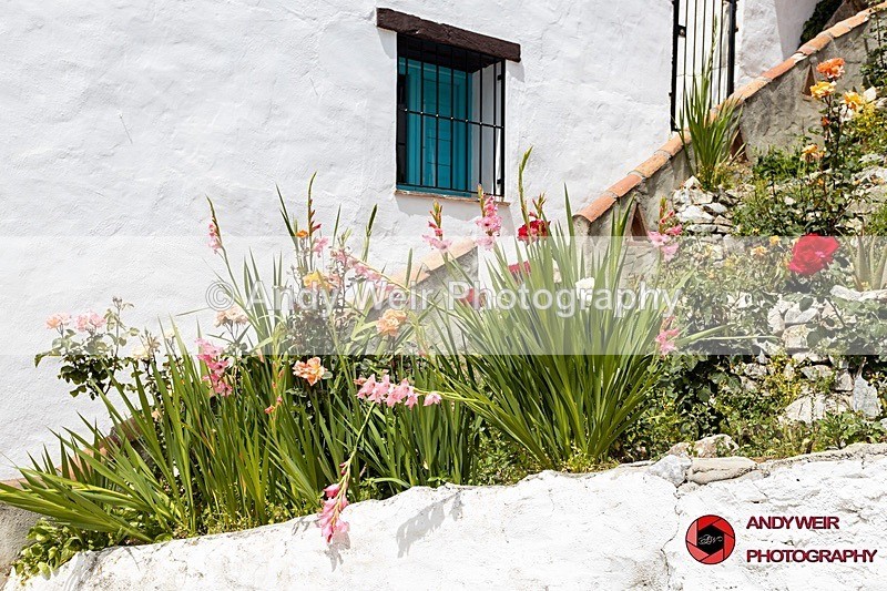 190517-untitled-1L4A1279 - Street Views