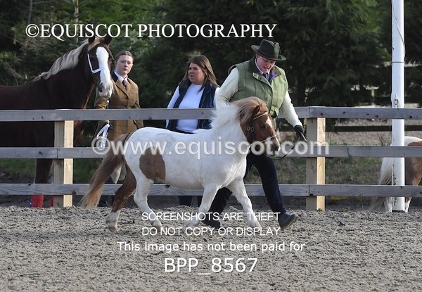 BPP_8567 - RING 2 - M&M