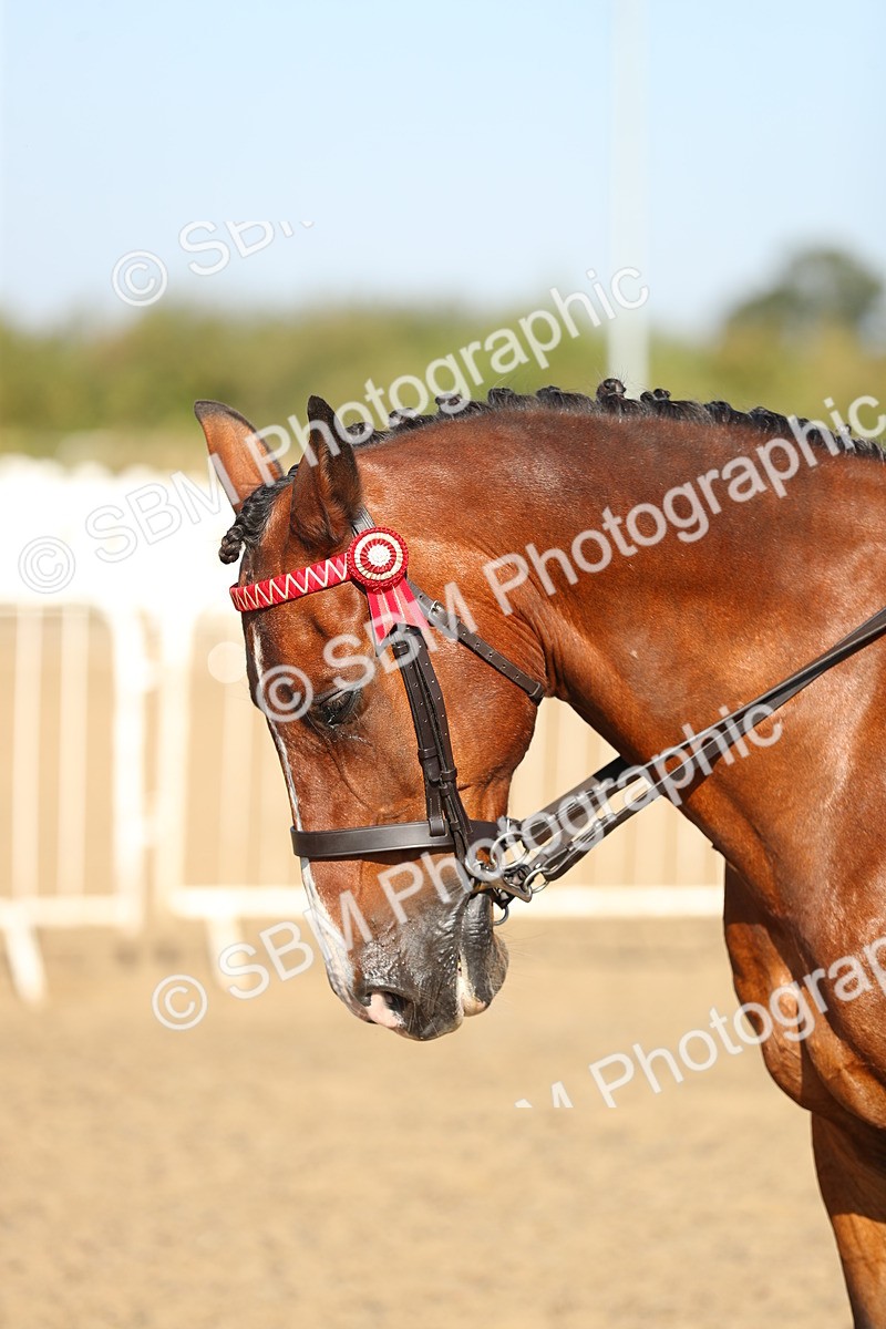 SBM_01207 - Class 42 Ridden Veteran