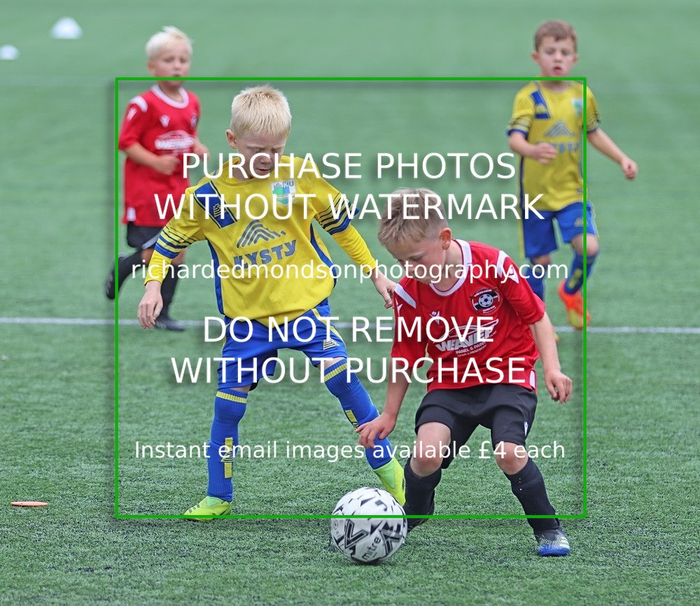 IMG_0666 - Under 7 Festival