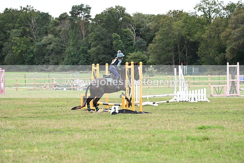 WJ6_0409 - 40cm Time 10:29 to 10:52