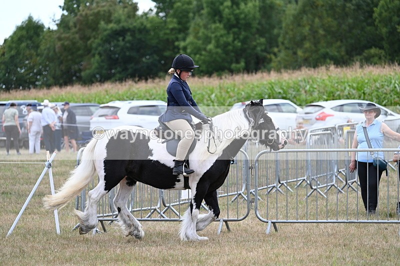 WJ7_5336 - Class 12 Ridden Cob