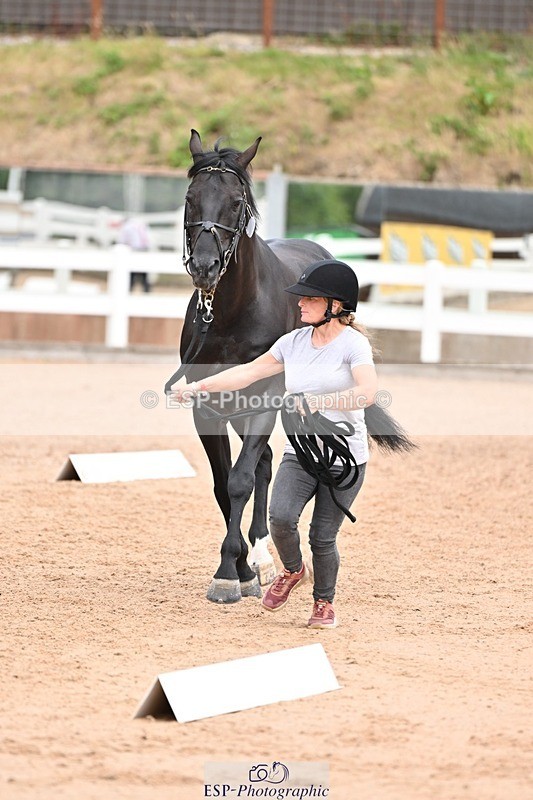 250716-143820-01250 - Trot Up 2.30 to 3.30