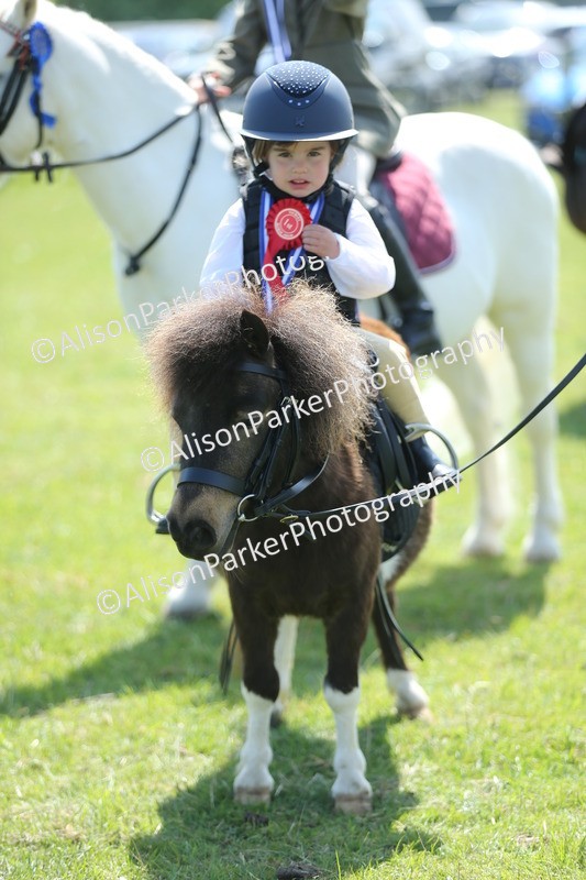 20250427-2753 - Class 6 - Pony Judge Would Most Like To Take Home