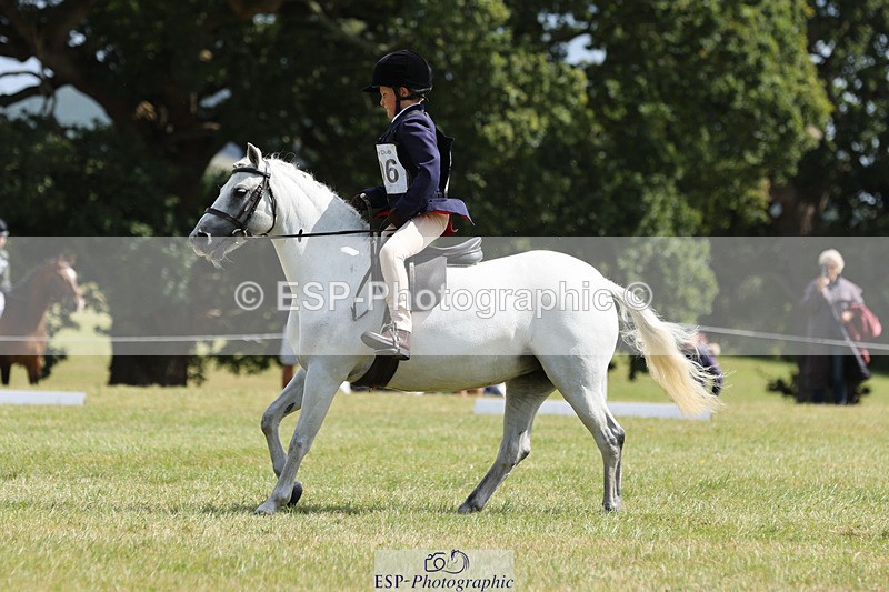 240824X-125521-27187 - D80 Section G and H 12.00 to 13.30