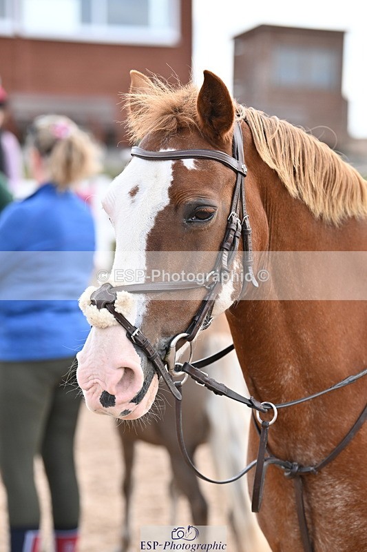 250821B-121825-00386 - Group D - Thomasina