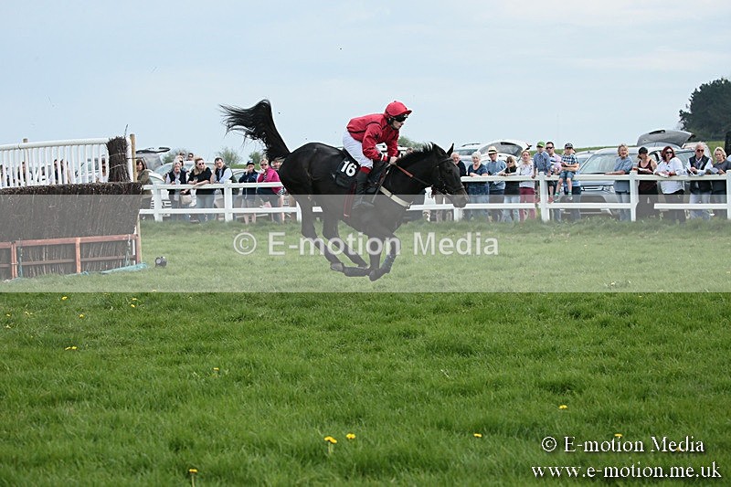 PtP 210418 210 - South & West Wilts Point-to-Point Larkhill 21/04/18
