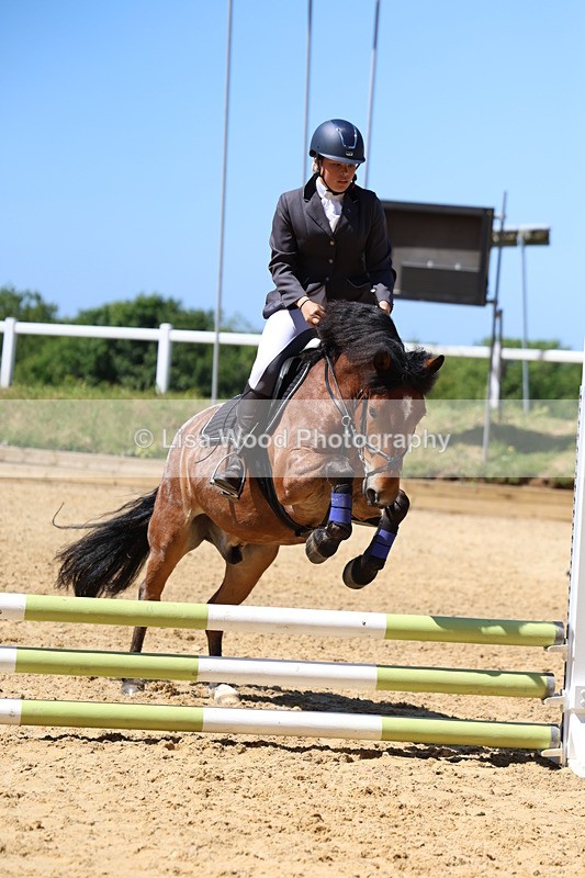 3E7A2362 - Class 4/5: 60cm Open Teams and Individuals