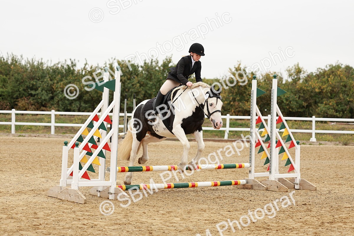 SBM_007124 - Class 2 - 50cm