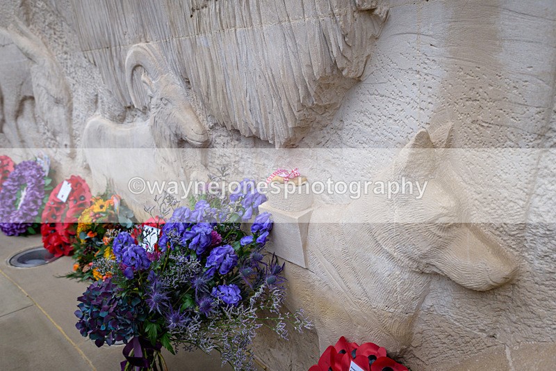 NGP_8333 - 2024 Animals in War Remembrance Gathering