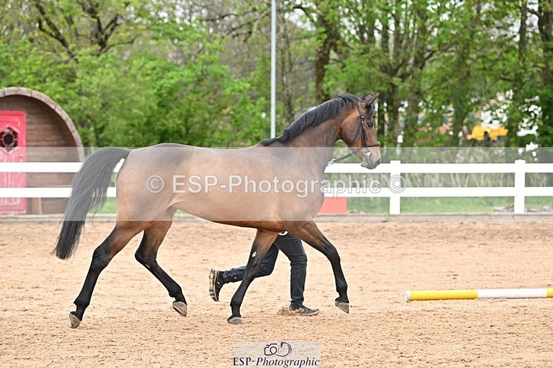 250423-161833-02100 - 4pm to 5pm