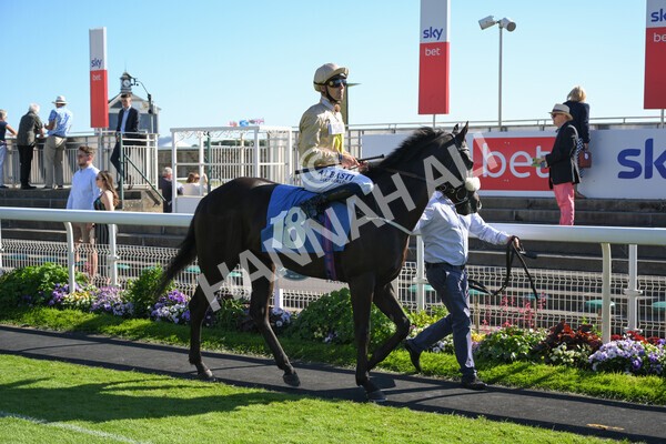 yr12062021r7-11 - Race 7 5.25pm Sky Bet Stakes