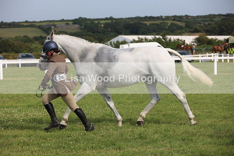 JPP_4306 - Class 25: Working Show Horse