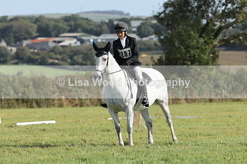 JPP_8101 - Class 2A: Trekenning Open: Dressage