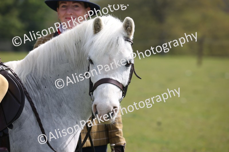 20260426-2603 - Class 31 - Leading Rein