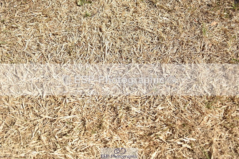 250824A-141032-37110 - PC70 Presentations